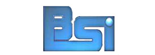 BSG Logo